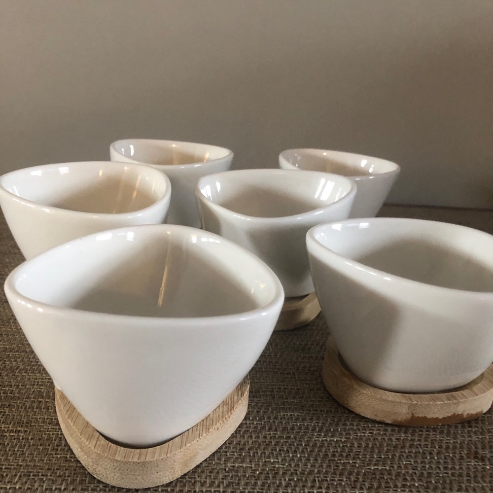 6 Mini Seed Starter Pots w/Bamboo trays